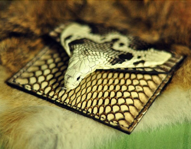 Snakeskin Wallet / Genuine Leather Card Case / Slim Card Holder / Personality Wallet / Mini Wallet / Men Cash Card Holder-t80